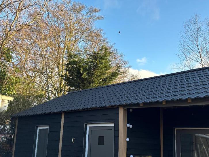 Dakpanplaten en nokken zwart nieuw, Doe-het-zelf en Verbouw, Platen en Panelen, Nieuw, Overige materialen, Minder dan 20 mm, Ophalen