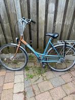 Batavus Damesfiets - Lage Instap, Batavus, Ophalen of Verzenden, 53 tot 56 cm, Gebruikt