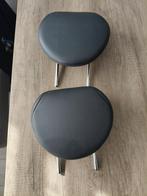 Mini Cooper R50/R53 Hoofdsteunen, Ophalen of Verzenden, Gebruikt, Mini