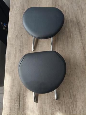 Mini Cooper R50/R53 Hoofdsteunen beschikbaar voor biedingen