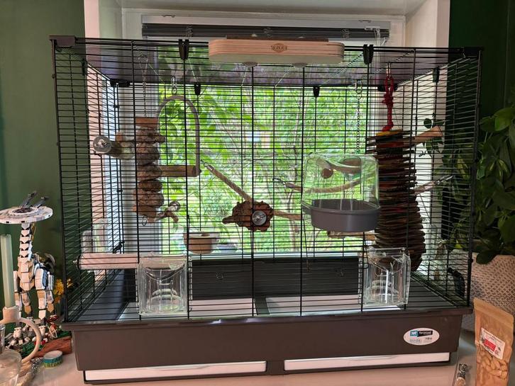 Parkieten/kleine papegaaien kooi zwart, Dieren en Toebehoren, Vogels | Hokken en Kooien, Nieuw, Vogelkooi, Metaal, Ophalen of Verzenden