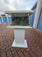 Aquarium wit - compleet incl. accessoires, Ophalen, Gebruikt