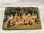 Oude ansichtkaart: Ojibwa Indianen, Canada, Ophalen of Verzenden, 1960 tot 1980, Gelopen, Buiten Europa