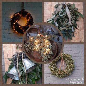 Stoere, landelijke dadeltakken, tak, krans, toef, lichtjes beschikbaar voor biedingen