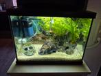Aquarium met toebehoren + tafeltje, Dieren en Toebehoren, Ophalen, Zo goed als nieuw, Gevuld zoetwateraquarium
