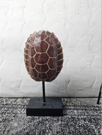 Ornament Schild van schildpad 🐢 - 40 cm - T.E.A.B. beschikbaar voor biedingen