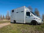 Paardenwagen Mercedes sprinter automaat, Dieren en Toebehoren, Paarden en Pony's | Trailers en Aanhangwagens, Ophalen of Verzenden