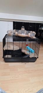 Mooie hamster kooi 4256cm, Dieren en Toebehoren, Kooi, Minder dan 75 cm, Minder dan 60 cm, Gebruikt