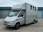 Mercedes-Benz SPRINTER 616 / paardenwagen / veewagen / 3 paa, Zwart, 156 pk, Mercedes-Benz, Bedrijf