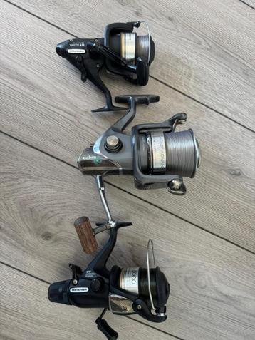 Karper/vismolens te koop beschikbaar voor biedingen