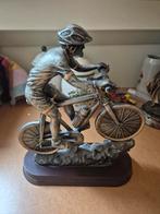 Sportprijs mtb, Ophalen of Verzenden, Overige typen