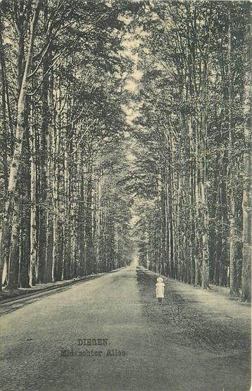 (387-217-013) Dieren Middachter Allee beschikbaar voor biedingen