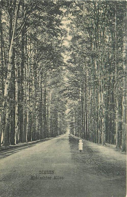 (387-217-013) Dieren Middachter Allee, Verzamelen, Ansichtkaarten | Nederland, Gelderland, Verzenden