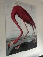Ixxi Flamingo Wanddecoratie 140x100cm, Ophalen, Gebruikt, Oorspronkelijke maker, Print