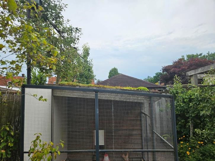 kippen hok, Dieren en Toebehoren, Pluimvee