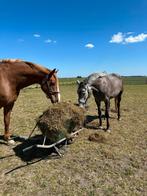 Verzorgster/verzorger gezocht, Dieren en Toebehoren, Paarden en Pony's | Overige Paardenspullen, Ophalen, Gebruikt, Springen