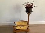 Retro krantenbak met plantentafeltje, Ophalen of Verzenden
