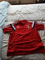 Polo shirt (Feyenoord rood), Maat XL, Ophalen, Gebruikt, Shirt