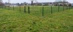 Gezocht: Klein omheind grasveld voor honden uitlaatservice, Dieren en Toebehoren, Stalling en Weidegang