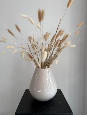 Vaas Tasman S ivory Ø18 x H20 cm - Vase The World beschikbaar voor biedingen