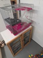 Grote hamsterhok/ penthouse, Dieren en Toebehoren, Knaagdieren en Konijnen | Hokken en Kooien, Ophalen, Gebruikt, Hamster, 90 cm of meer