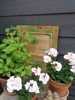 Brocant Houten Groen Luikje ** Mimosa **, Tuin en Terras, Tuinwanddecoratie, Ophalen of Verzenden