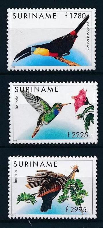 SURINAME 103 - Dieren: vogels beschikbaar voor biedingen