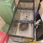 120/5cm lente.50/5cm bred.62cm diep, Dieren en Toebehoren, Vissen | Aquariumvissen