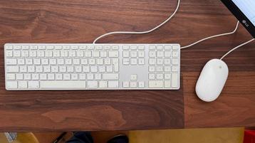 Apple keyboard met numeriek keypad A1243 en muis A1152 beschikbaar voor biedingen