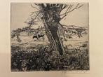 Theo Beerendonk (1905-1979) ets - Knotwilg met koe, Antiek en Kunst, Kunst | Etsen en Gravures, Ophalen of Verzenden
