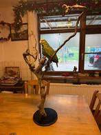 Geelvoorhoofdamazone papegaai, Ophalen of Verzenden, Gebruikt, Vogel, Opgezet dier