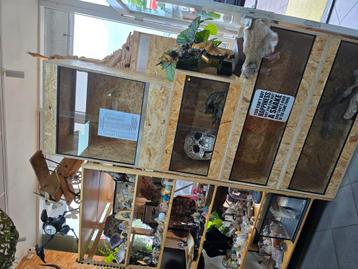 Terrariums,  toebehorenen,  voedseldieren  en meer! beschikbaar voor biedingen
