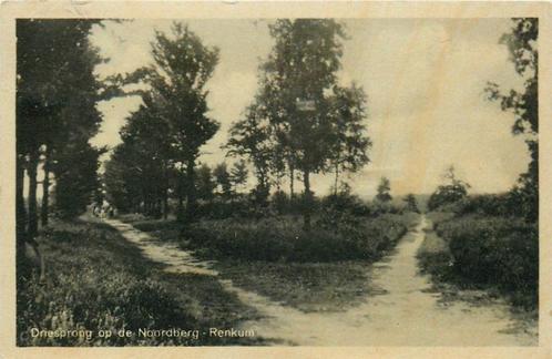 (387-100-025) Renkum Driesprong, Verzamelen, Ansichtkaarten | Nederland, Gelderland, Verzenden