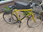 Fiets Giant, Fietsen en Brommers, Fietsen | Heren | Herenfietsen, Ophalen, Gebruikt, Versnellingen, Giant