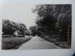ong jr 50 RIJS Mientwei ? Hotel Gaasterland ? BALK Teernstra, Verzamelen, Ansichtkaarten | Nederland, Ophalen, 1940 tot 1960, Gelopen