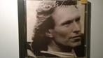Steve Winwood - Chronicles, Ophalen of Verzenden, Zo goed als nieuw, Poprock