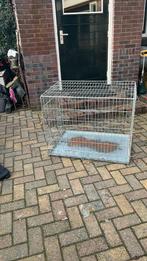 Hondenbench, Dieren en Toebehoren, Hondenhokken, Ophalen, 75 tot 110 cm, Minder dan 65 cm