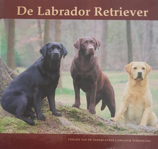 De Labrador Retriever - Roswitha M. Lubbers, Boeken, Dieren en Huisdieren, Zo goed als nieuw, Honden, Ophalen of Verzenden