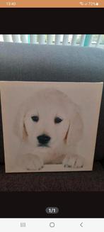 Labrador schilderij, Kinderen en Baby's, Kinderkamer | Inrichting en Decoratie, Ophalen of Verzenden, Zo goed als nieuw, Wanddecoratie
