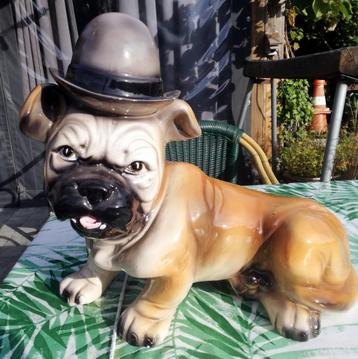 Beeld  Bulldog beschikbaar voor biedingen