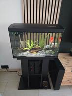 Compleet aquarium met onderkast, Grote vissen en toebhoren, Dieren en Toebehoren, Ophalen of Verzenden, Zo goed als nieuw, Gevuld zoetwateraquarium