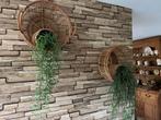Twee hangmanden rotan wanddecoratie met kunstplanten, Ophalen of Verzenden, Zo goed als nieuw