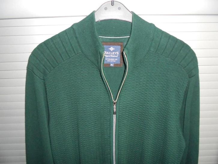 vest Baileys originaal maat xxl groen, Kleding | Heren, Truien en Vesten, Zo goed als nieuw, Overige maten, Groen, Ophalen of Verzenden