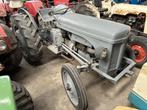 Ferguson TE20 tractor, Niet ingevuld, Niet ingevuld, Niet ingevuld