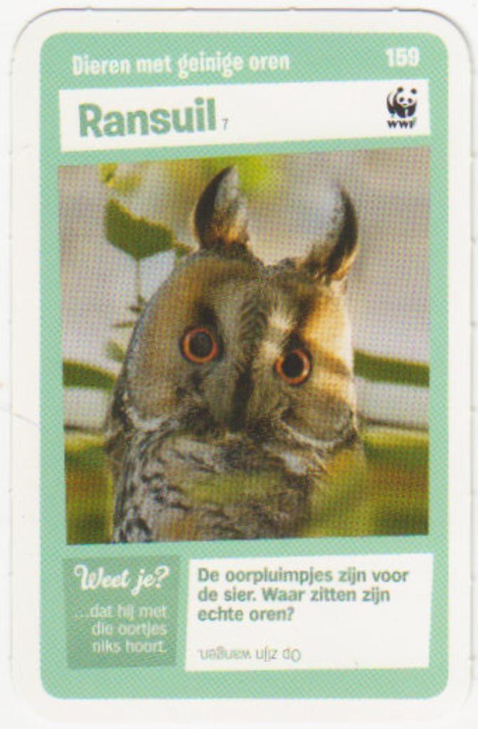 Super dieren no.159 Ransuil [2769]  [VeOvSu], Verzamelen, Supermarktacties, Albert Heijn, Ophalen of Verzenden