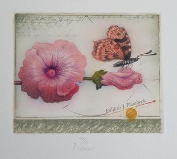 Exlibris Josef Werner, Malve  (kaasjeskruid) en vlinder beschikbaar voor biedingen