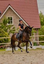 Instructeur aangeboden!, Dieren en Toebehoren, Ophalen of Verzenden