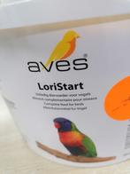 Lorristart 50 % korting, Geslacht onbekend, Tropenvogel