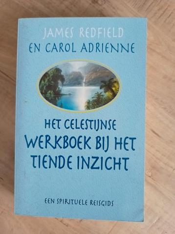 Het Celestijnse werkboek bij Het tiende inzicht beschikbaar voor biedingen