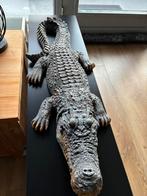 Krokodil 80.centimeter, Tuin en Terras, Ophalen of Verzenden, Zo goed als nieuw